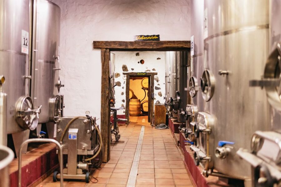 Teide Night Experience with Dinner and Stargazing - Vilaflor Dinner at Bodegas Reverón: Food, Wine, and a Real Taste of the Canaries
