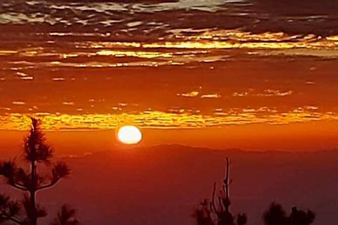 TEIDE NIGHT, Stargazing Bus Tour, Meal & Drinks included! - Volcan Teide and the Stargazing Part You Came For