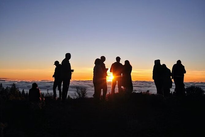 TEIDE NIGHT, Stargazing Bus Tour, Meal & Drinks included! - Value for Money: Is $117.11 Worth It?