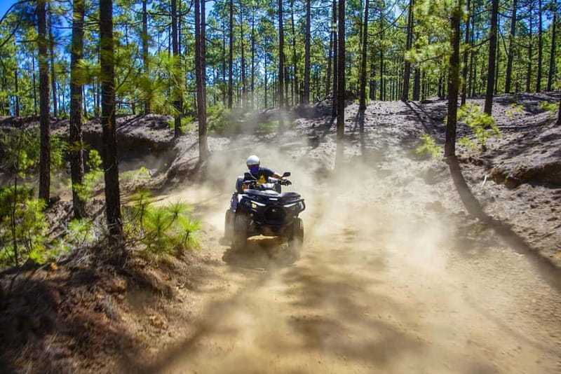 Teide Quad Tour - Tenerife - Key things to know before you go