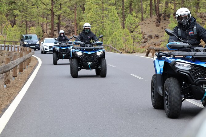 Teide Quad Volcanic Tour Teide National Park - Price and Value: What $195.50 Covers (and Why It Can Be a Good Deal)