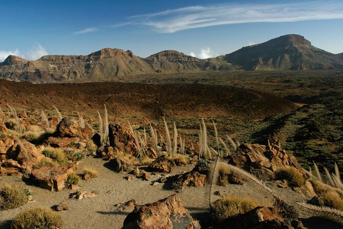 Teide Sunset Quad trip - Key things to know before you go