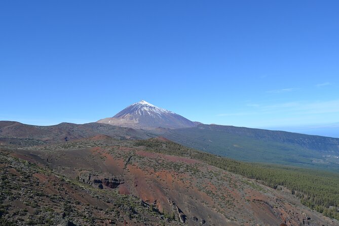 TEIDE: VIP tour - Mirador La Tarta: how geology turns into a fun visual puzzle