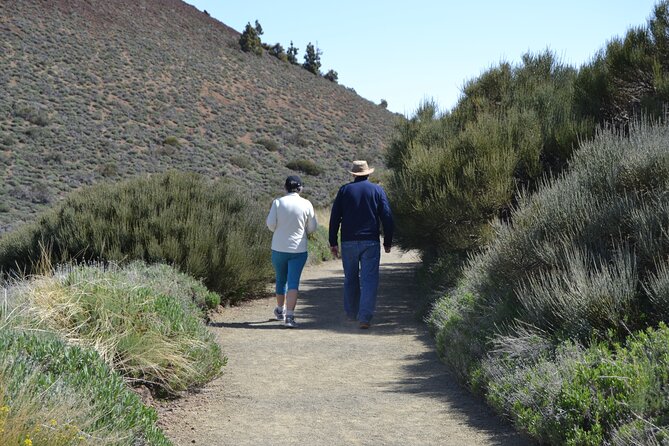 TEIDE: VIP tour - Portillo Alto and Barraquito: a coffee break that actually feels local