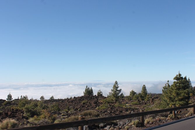 Teide Volcano National Park Quad Biking Tour - Riding through Teide National Park: scenery, pace, and the Mount Teide factor