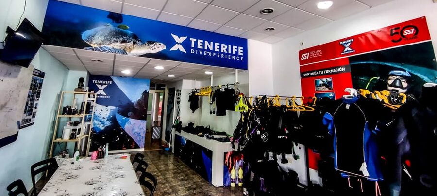 Tenerife: 2-Dive Private Scuba Discovery Course - Key Things You’ll Love Most