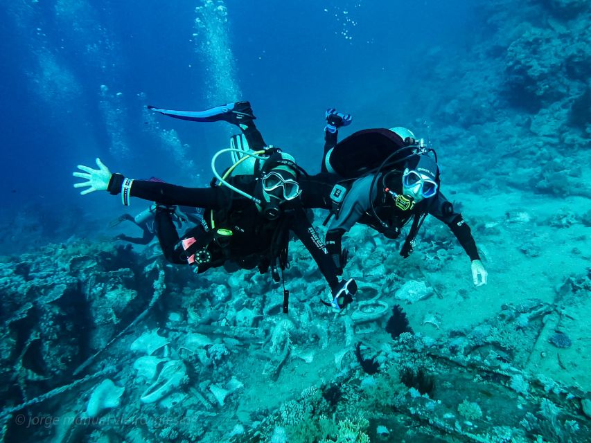 Tenerife: 2-Dive Private Scuba Discovery Course - Who Should Book This Course (and Who Should Skip It)