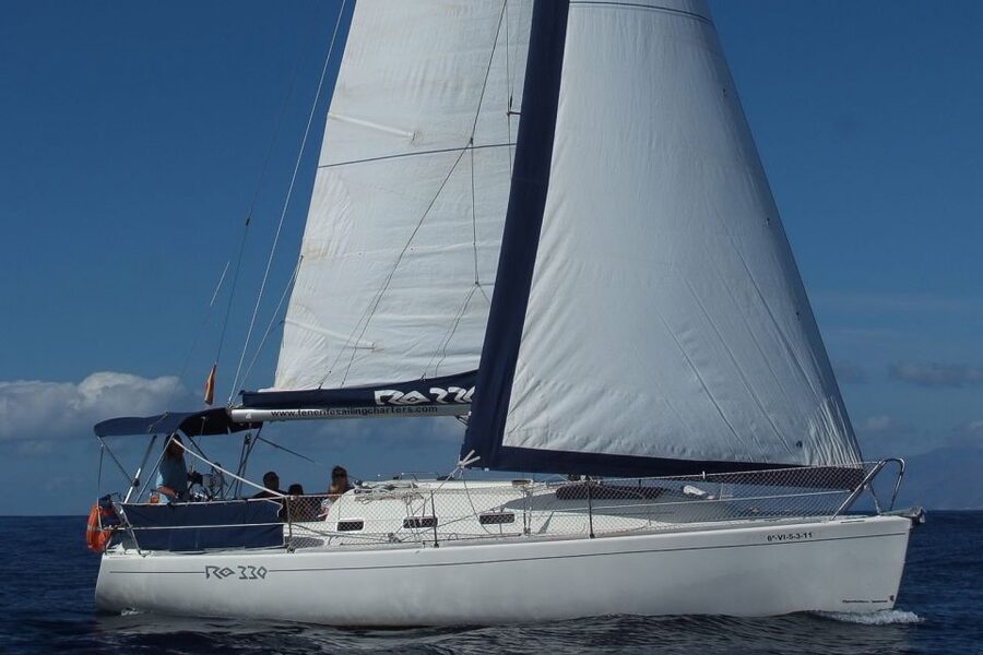 Tenerife: 3 &-6 Hour Private Whale & Dolphin Watching - The captain matters: what you’ll learn and how you’ll feel on board