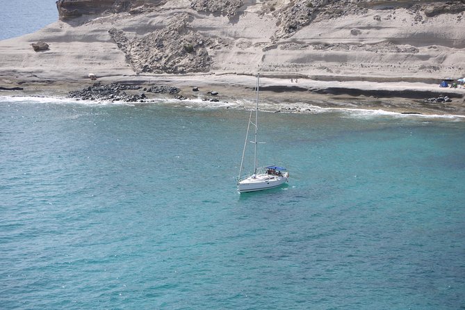 Tenerife 3-Hour Discover Whales and Dolphins - Getting to Puerto Colón: pickup within 20 km of the action