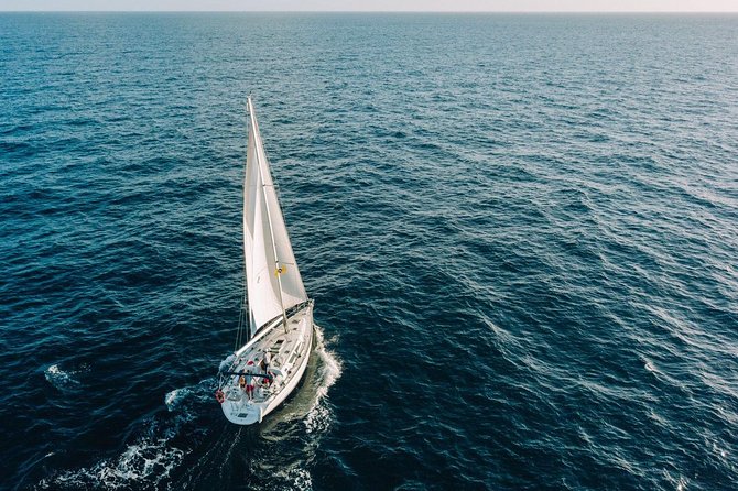 Tenerife 3-Hour Discover Whales and Dolphins - The pace: why 3 hours feels like a half-day win