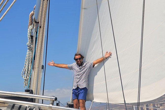 Tenerife 3-Hour Discover Whales and Dolphins - Price and value: what $70.68 buys you in real terms