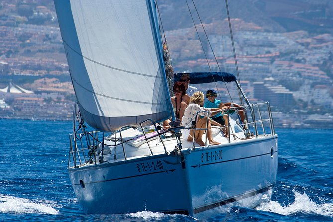 Tenerife 3-Hour Discover Whales and Dolphins - The open-sea search: what “Zec waters” really means for your day