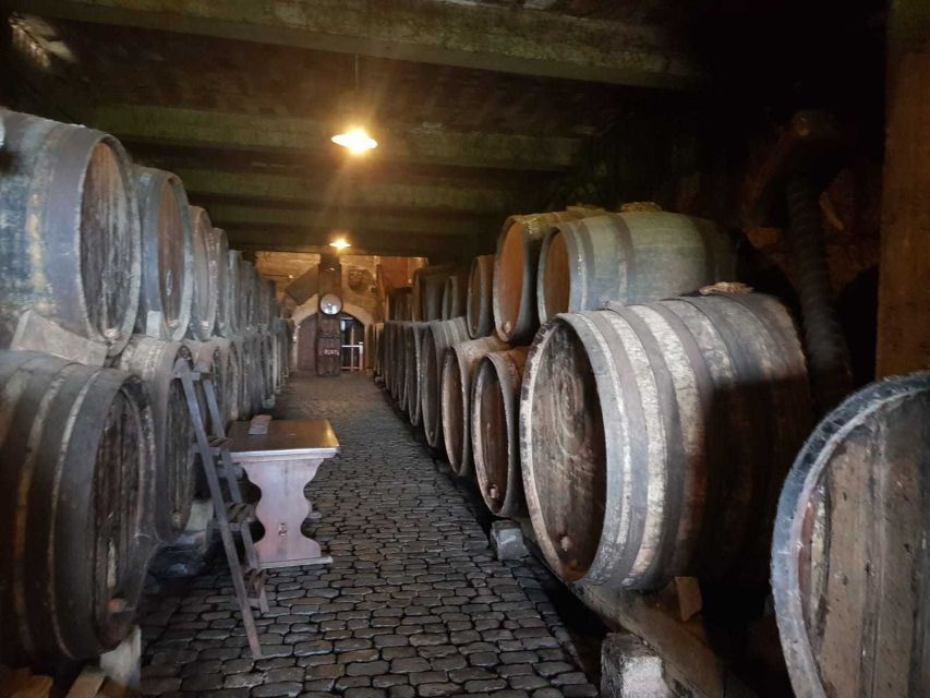 Tenerife: 4-Hour Gauchinche Food Tour - Bodega Coffee and Coastal Views: The Calm Finish