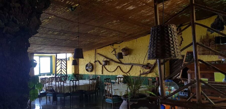 Tenerife: 4-Hour Gauchinche Food Tour - Getting There Comfortably: What You Should Bring and Watch For