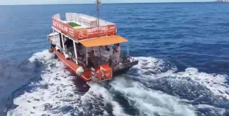 Tenerife: Accessible Whale Watching & Ocean Experience - Board comfort details that matter on a small boat