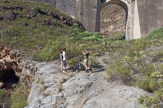 Tenerife Alternative Tour. Arico, Güímar, Fasnia- photos included - Photos, Food Breaks, and the Little Details That Make It Feel Real