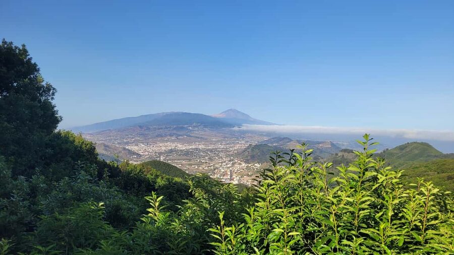 Tenerife Anaga Mountains: Circular Hike in the Laurel Forest - Small Group 10-12 P - What you’ll learn on the trail: volcano Tenerife and Guanche roots