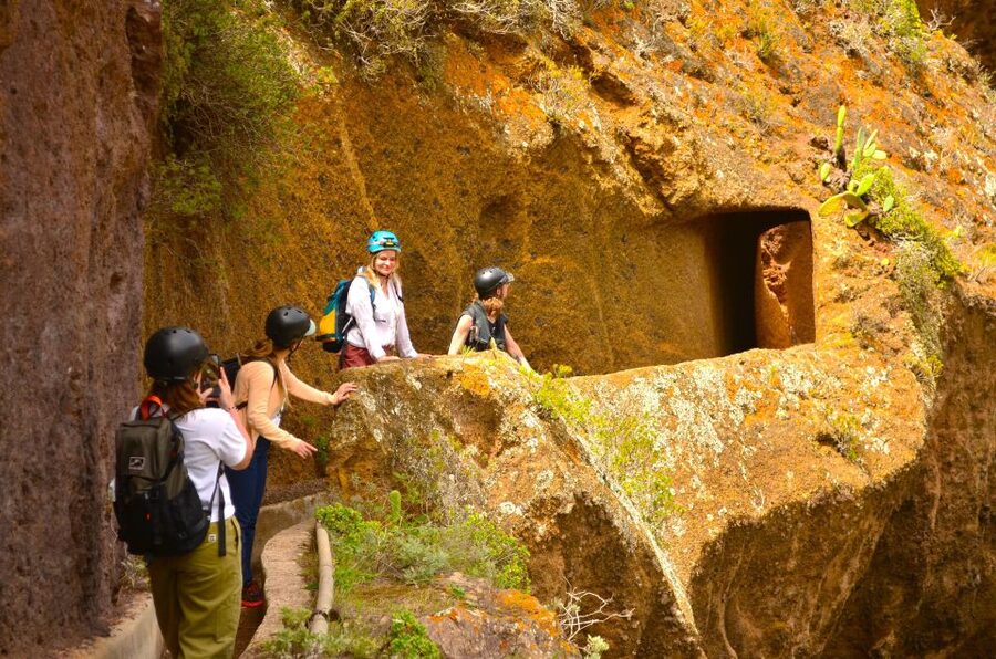 Tenerife: Anaga Mountains & Enchanted Forest Hiking Tour - Who This Tour Suits Best (and Who Should Skip It)