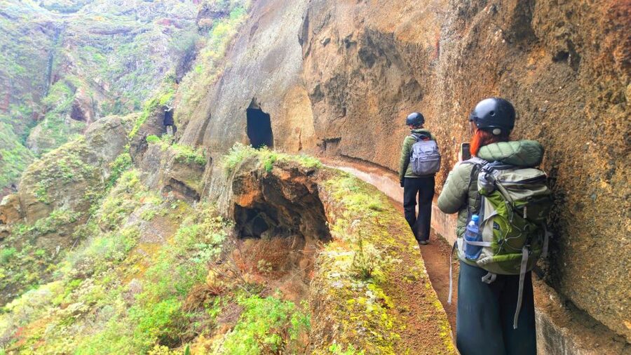 Tenerife: Anaga Mountains & Enchanted Forest Hiking Tour - Price and Value: Why $122 Can Make Sense Here
