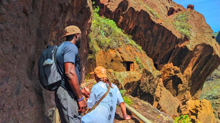Tenerife: Anaga Mountains & Enchanted Forest Hiking Tour - The Enchanted Forest Starter: A Short Walk That Sets the Mood