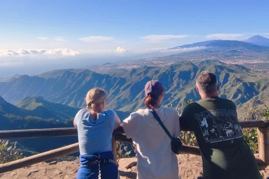 Tenerife: Anaga Mountains & Enchanted Forest Hiking Tour - Drive Stops That Add Context: From Forest Roads to a Living Cave Village