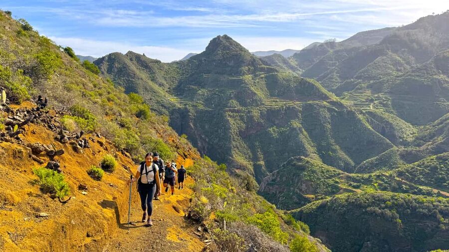 Tenerife: Anaga Mountains & Enchanted Forest Hiking Tour - Picnic Break: Hilltop Calm or a Cave With Canyon Views