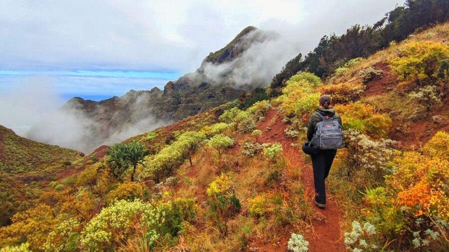 Tenerife: Anaga Mountains & Enchanted Forest Hiking Tour - Pickup, Van Ride, and Timing That Works for Santa Cruz
