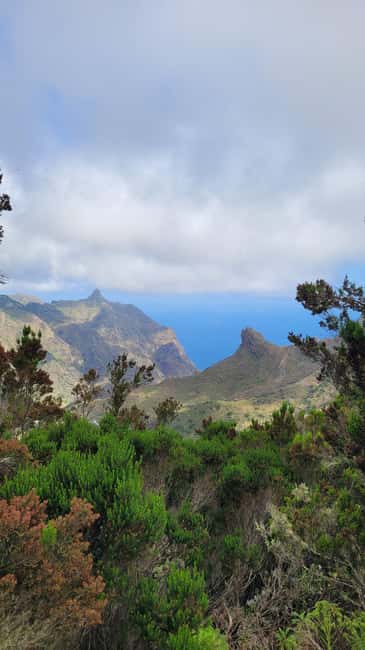 Tenerife Anaga Mountains: Taganana Valley Hike - Small Group (Max 10) - Through the Laurisilva: Mossy Laurel Forests and Endemic Plants