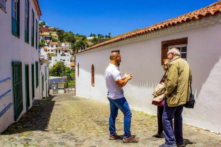 Tenerife: Anaga Rural Park Private Tour - Who Should Book This Anaga Day, and Who Should Skip It