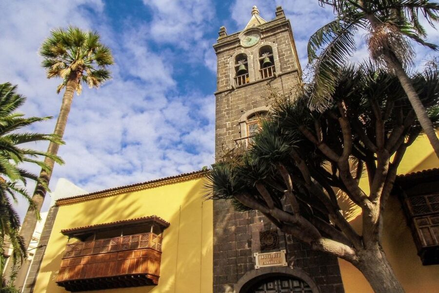 Tenerife: Anaga Rural Park Private Tour - The Summit Air and Humid Laurisilva Forest Moment