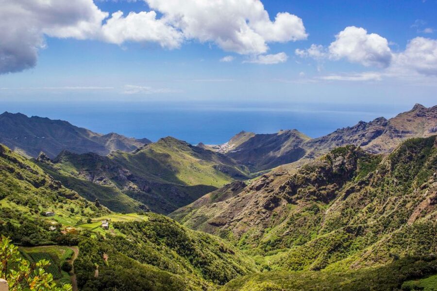 Tenerife: Anaga Rural Park Private Tour - A Brief Anaga Mountain Hike: Stretch Your Legs Without Overdoing It