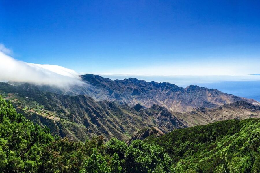 Tenerife: Anaga Rural Park Private Tour - Price and Value: Is $888 for Up to 2 Worth It?