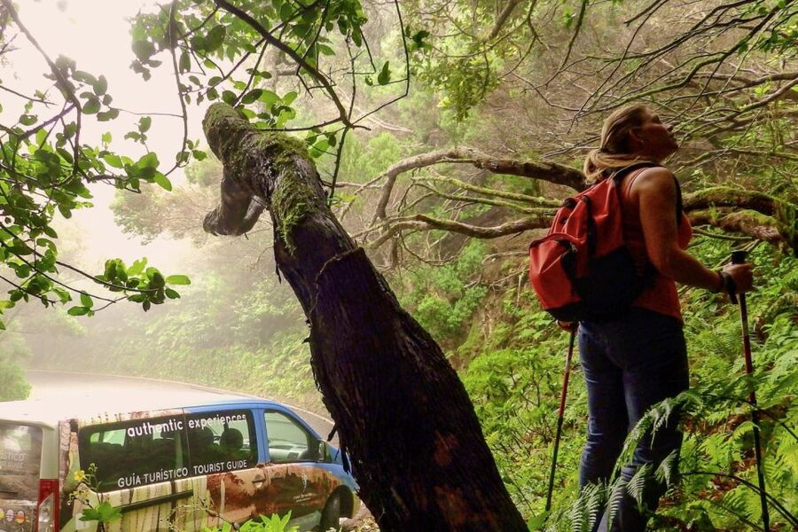 Tenerife: Anaga Rural Park Private Tour - San Andrés Start: Fishing-Village Energy Right Away