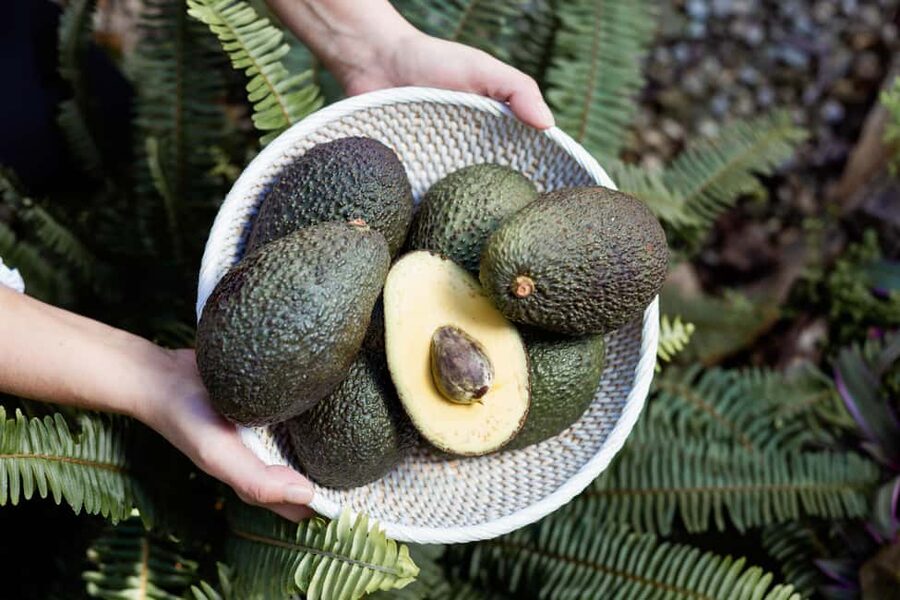 Tenerife: Avocado Farm Tour with Tasting Menu & Wine - Tahodio Valley on Tenerife: what makes an avocado farm tour feel different