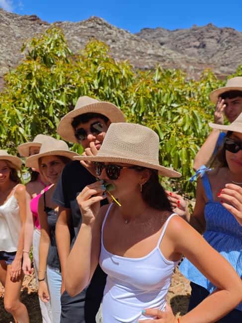 Tenerife: Avocado Farm Tour with Tasting Menu & Wine - Walking the orchard: how the tour explains cultivation, harvest, and daily work