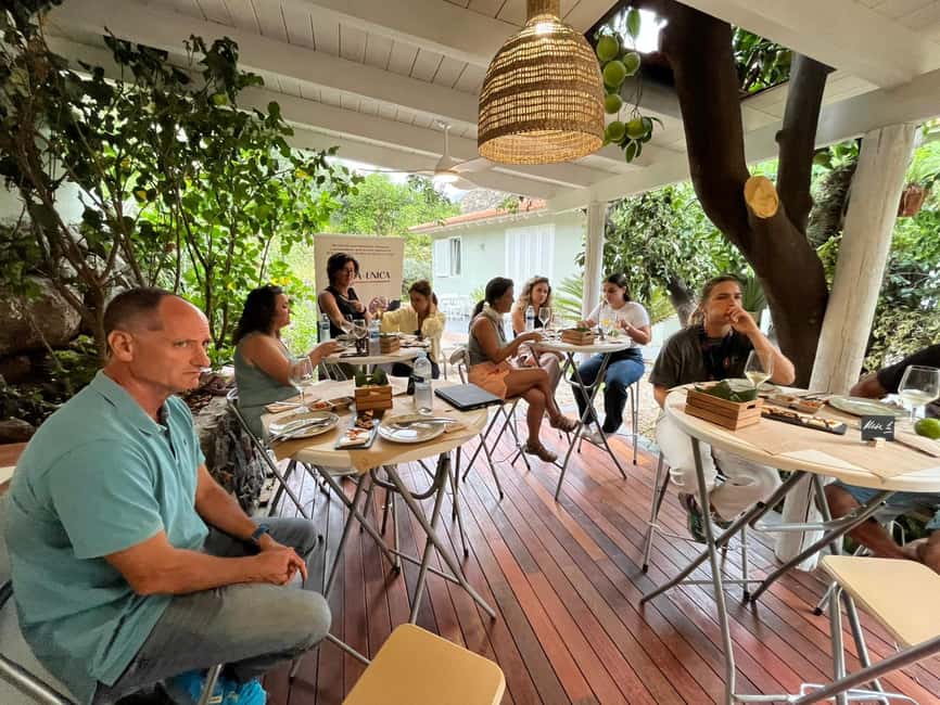 Tenerife: Avocado Farm Tour with Tasting Menu & Wine - Price and value: what $59 buys you (and what it doesn’t)