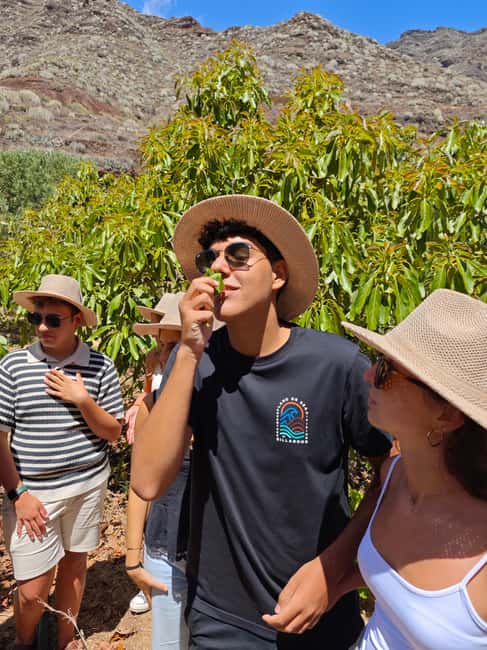 Tenerife: Avocado Farm Tour with Tasting Menu & Wine - Finca Coviella meet-up and the 2-hour rhythm you should expect
