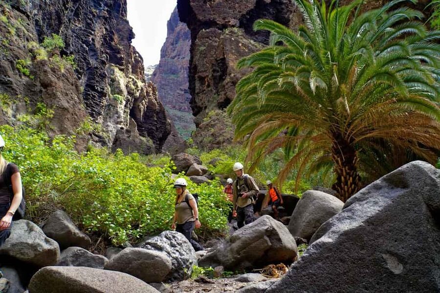 Tenerife Barranco de Masca: Guided hike + boat ride + transport - The 5 km guided descent: what it feels like and what to watch for
