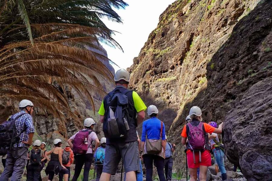 Tenerife Barranco de Masca: Guided hike + boat ride + transport - The boat ride from the cove to Los Gigantes Marina