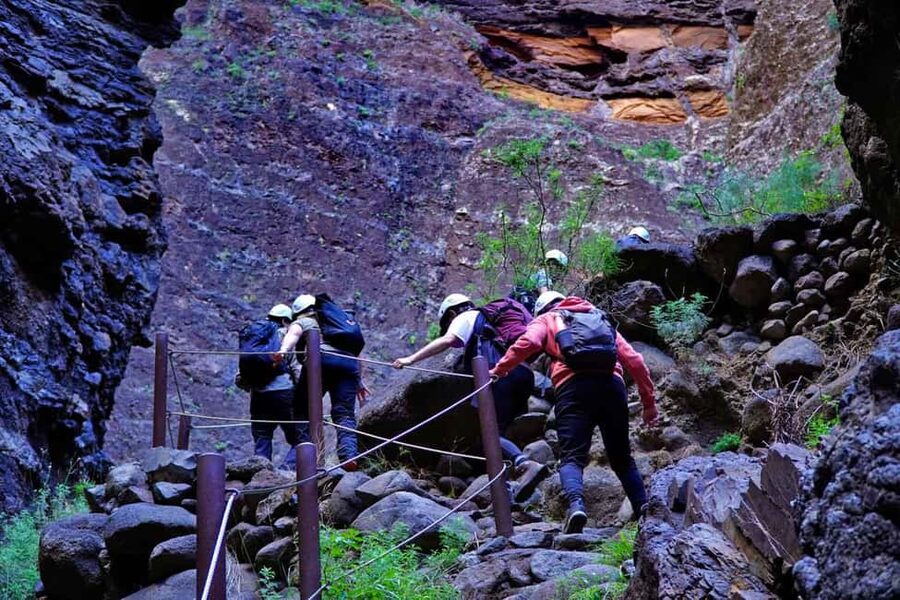 Tenerife Barranco de Masca: Guided hike + boat ride + transport - Transfers, waiting time, and how to keep the day from feeling rushed