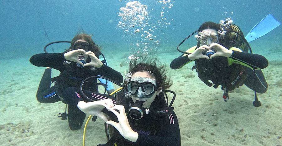 Tenerife: Beginner's Dive at a Spot with Turtle Sightings - Key highlights worth planning around