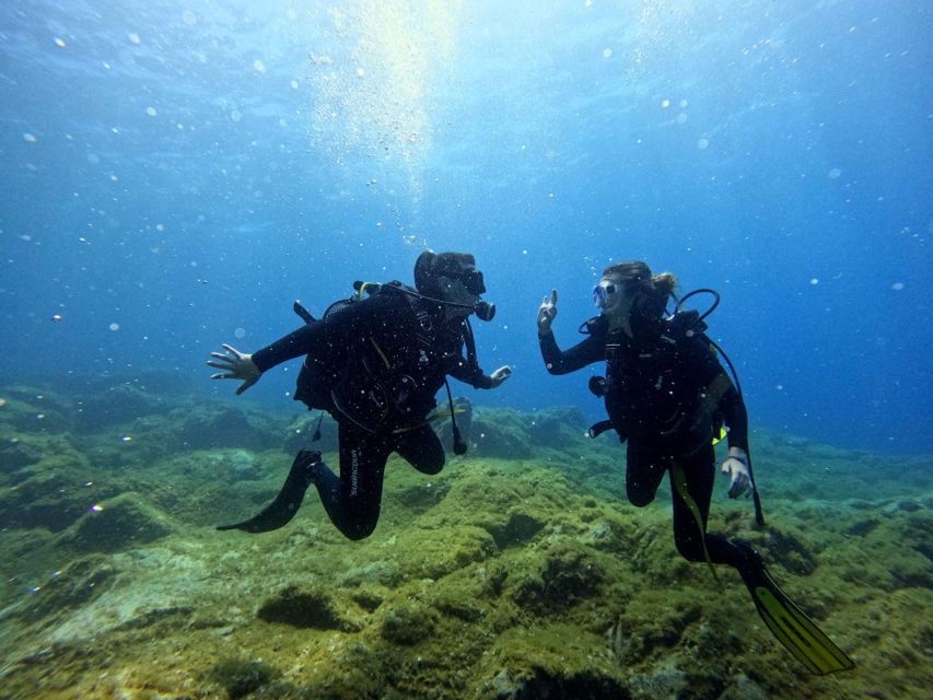 Tenerife: Beginner's Dive at a Spot with Turtle Sightings - Who should book this first-time scuba session