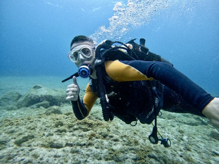 Tenerife: Beginner's Dive at a Spot with Turtle Sightings - Why Tenerife fits first-time scuba so well