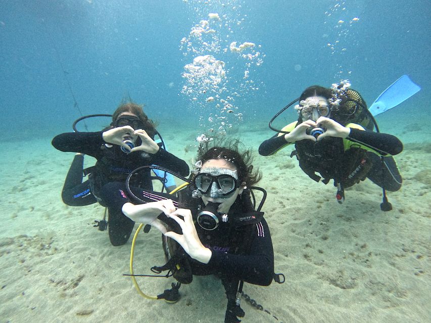 Tenerife: Beginner's Dive at a Spot with Turtle Sightings - The 30-minute safety briefing: how they set you up to feel in control