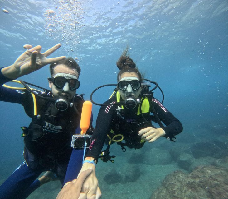 Tenerife: Beginner's Dive at a Spot with Turtle Sightings - Your shallow underwater session: what the timing and depth mean