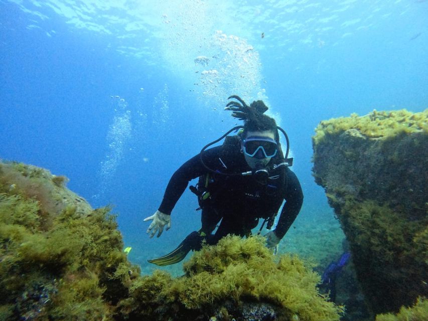 Tenerife: Beginner's Dive at a Spot with Turtle Sightings - Instructor ratio: why “2 clients per instructor” matters underwater