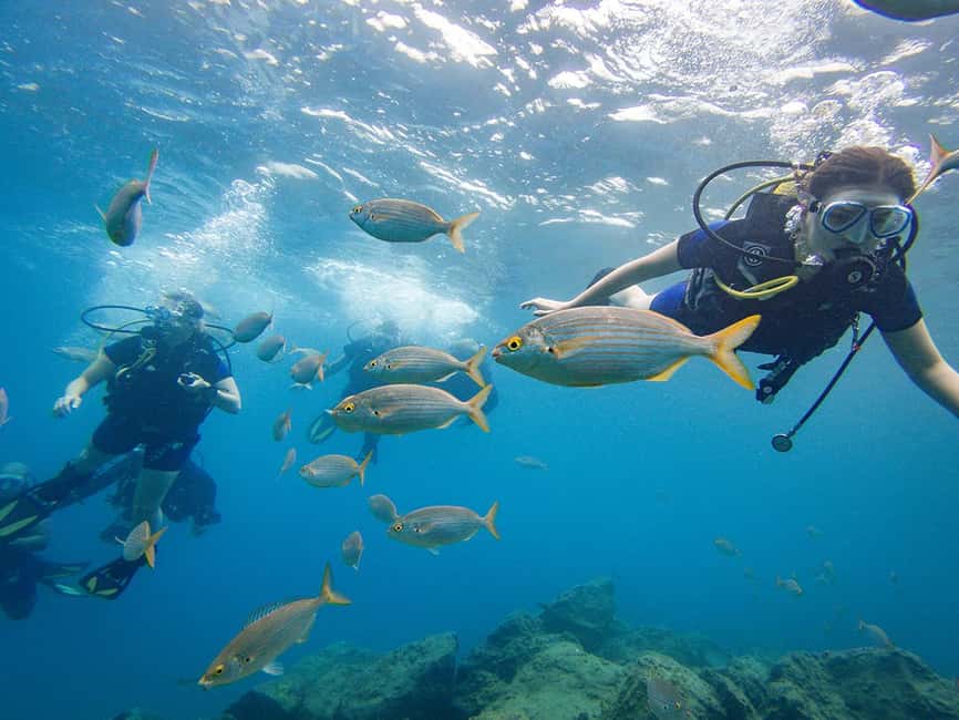 Tenerife: Beginner Scuba Dive Experience - Why Tenerife’s Shallow-Water Training Makes First Timers Relax