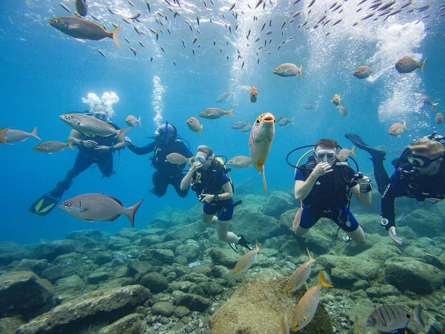 Tenerife: Beginner Scuba Dive Experience - The 30-Minute Safety Briefing and Equipment Fit