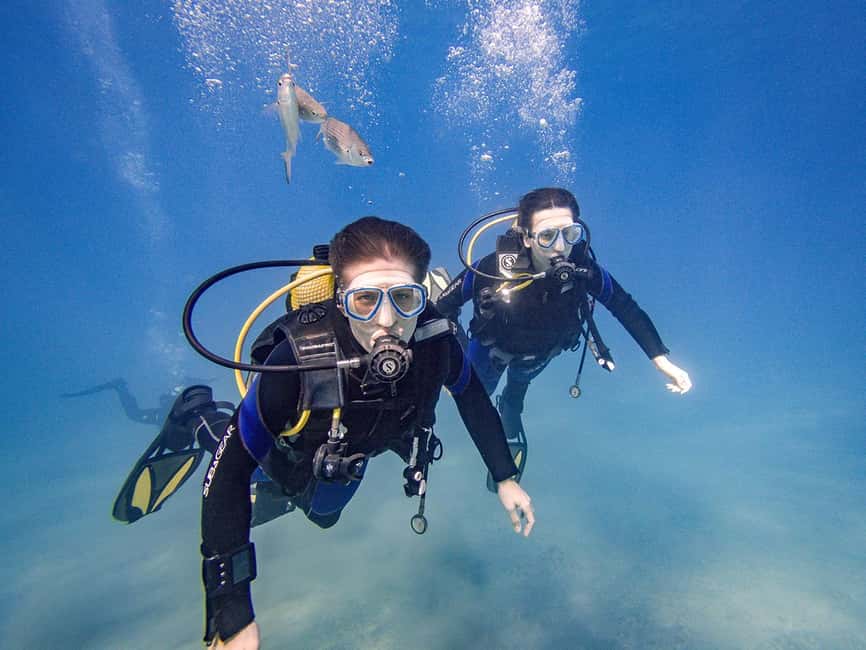 Tenerife: Beginner Scuba Dive Experience - Skills in Clear Shallow Water: What You’ll Practice