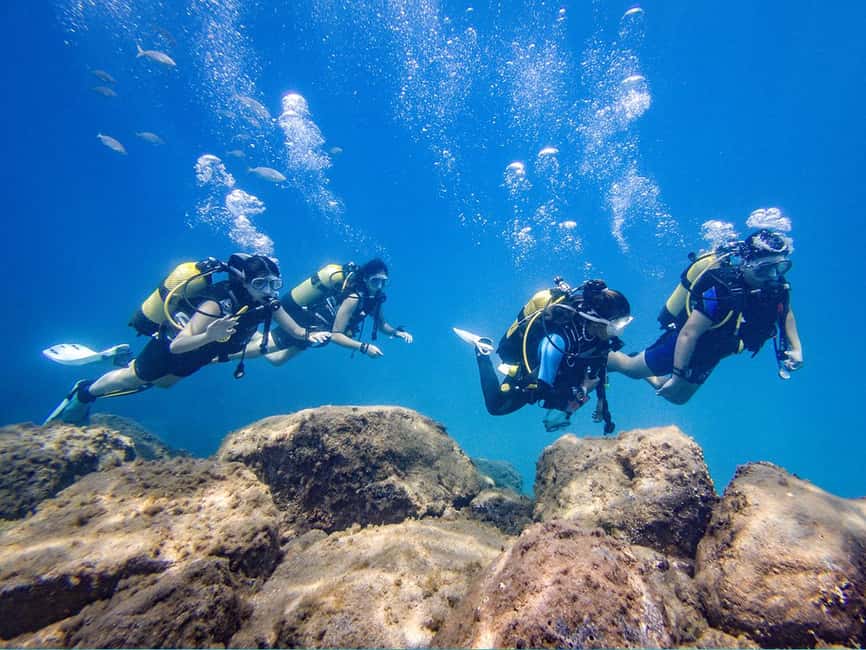 Tenerife: Beginner Scuba Dive Experience - Cost, Included Gear, and Who Should Book (or Skip)